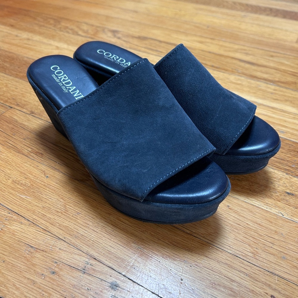 Cordani Women's Navy Blue Mules